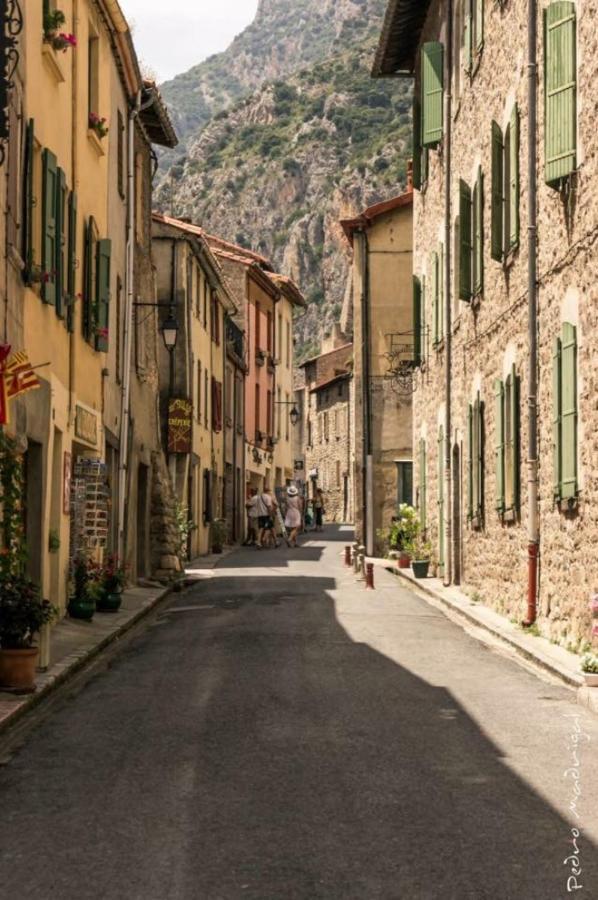 Maison Les Ramparts Вильфранш-де-Конфлан Экстерьер фото
